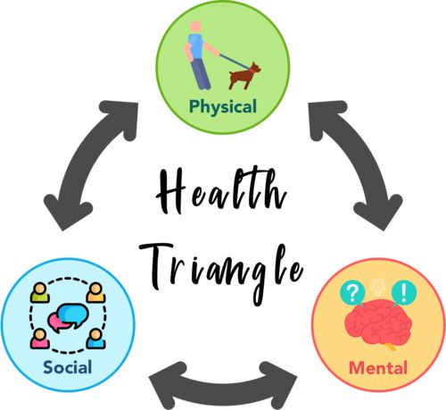 Health Triangle: Importance, Examples & 3 Key Sides