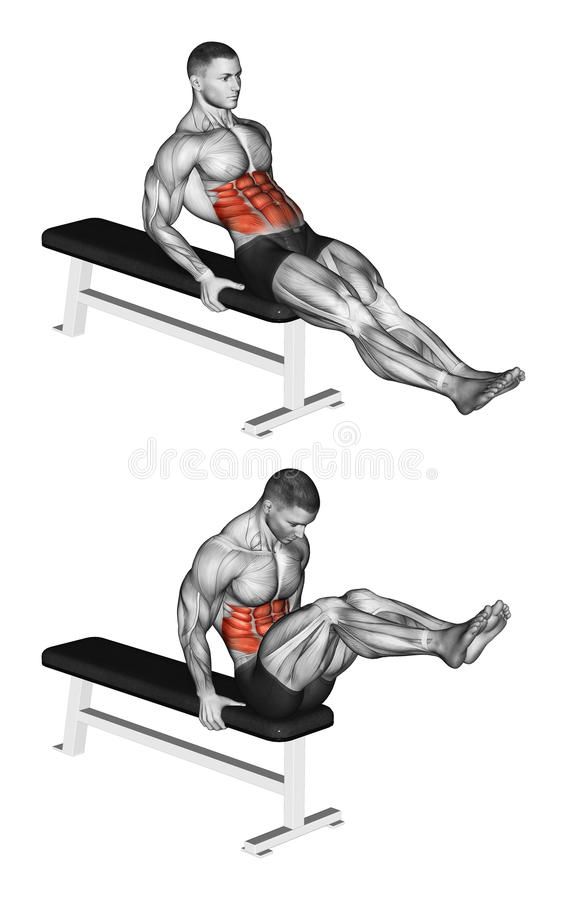 Ab Exercises on Bench