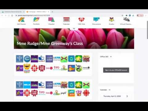 Cua Brightspace: Complete Guide & Student Portal Insights